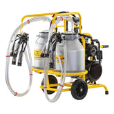 Aparat de muls vaci, 2 posturi, 2 bidoane aluminiu 30 litri