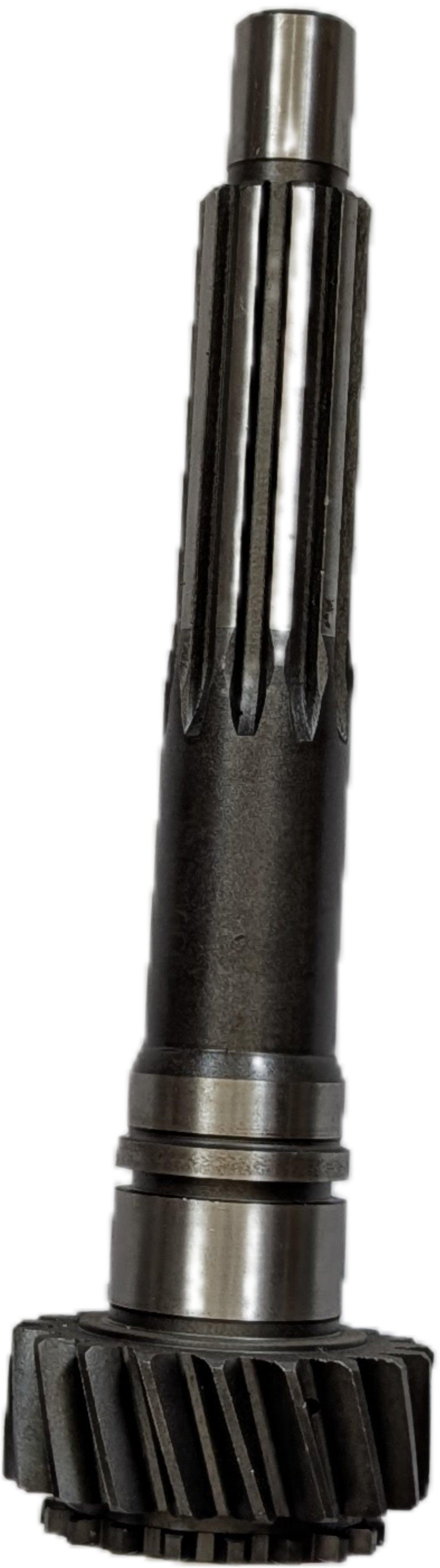 Arbore primar C.V. AK5
